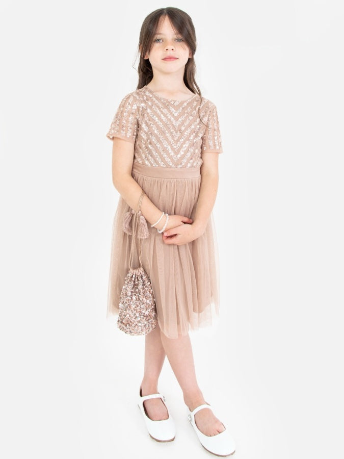 Maya Taupe Blush Embellished Drawstring Purse