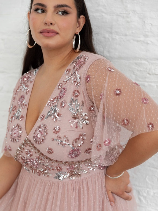 Maya Blush Floral Embellished Spot Mesh Maxi Dress