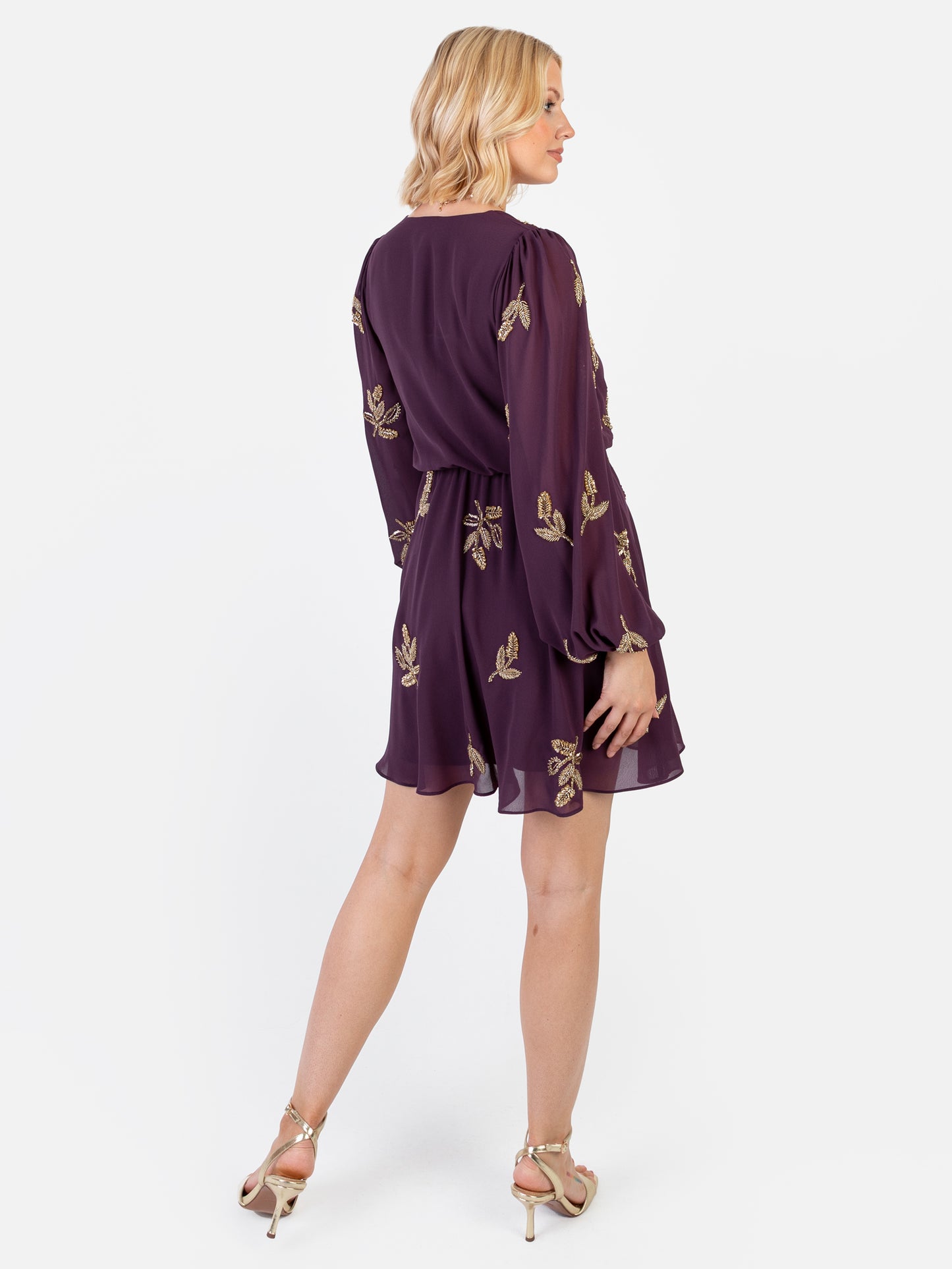 Maya Berry Leaf Embellished Long Sleeve V Neck Mini Dress