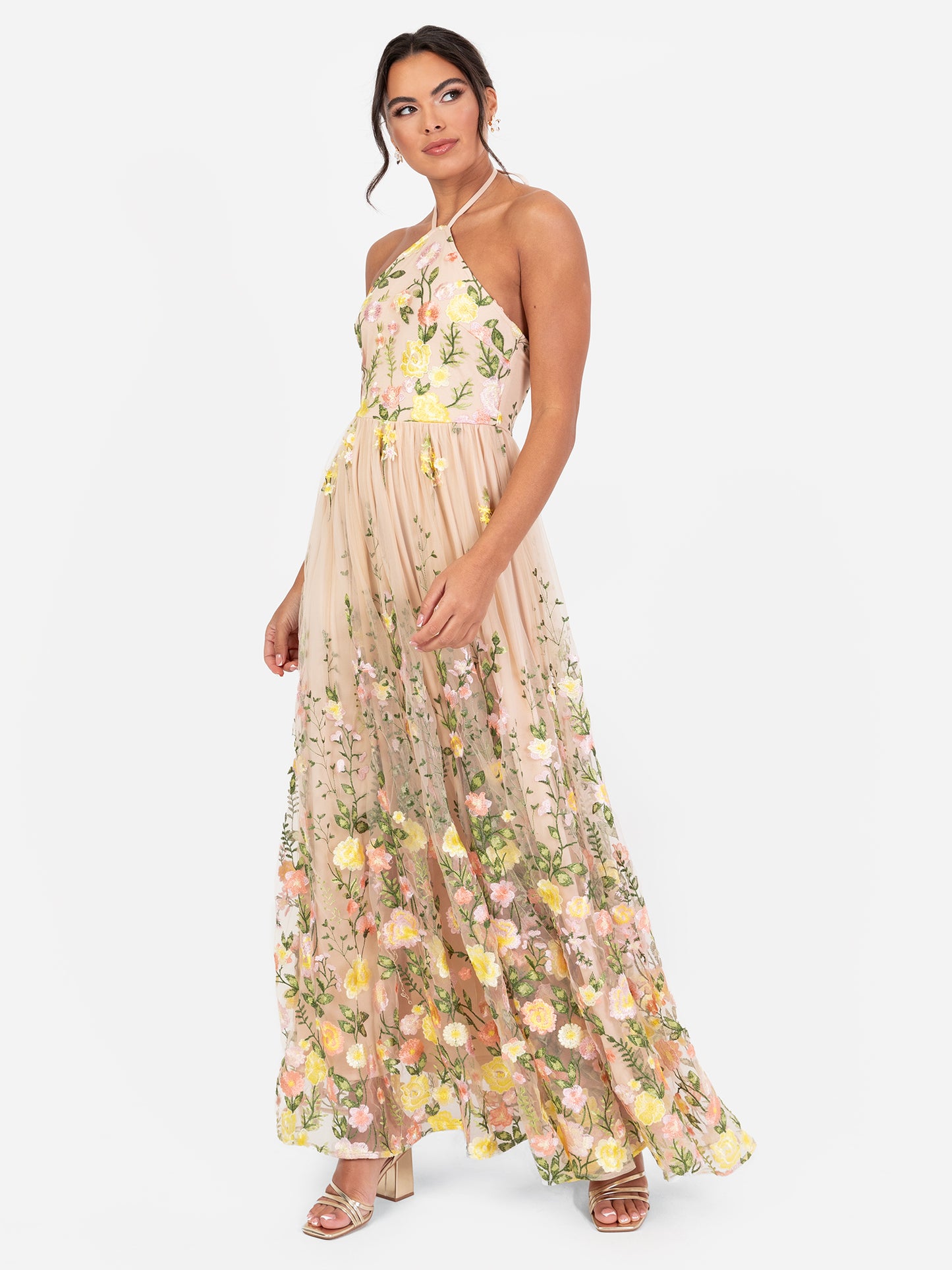 Maya Floral Embroidered Halter Neck Maxi Dress